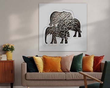 Elephants sur Color Square