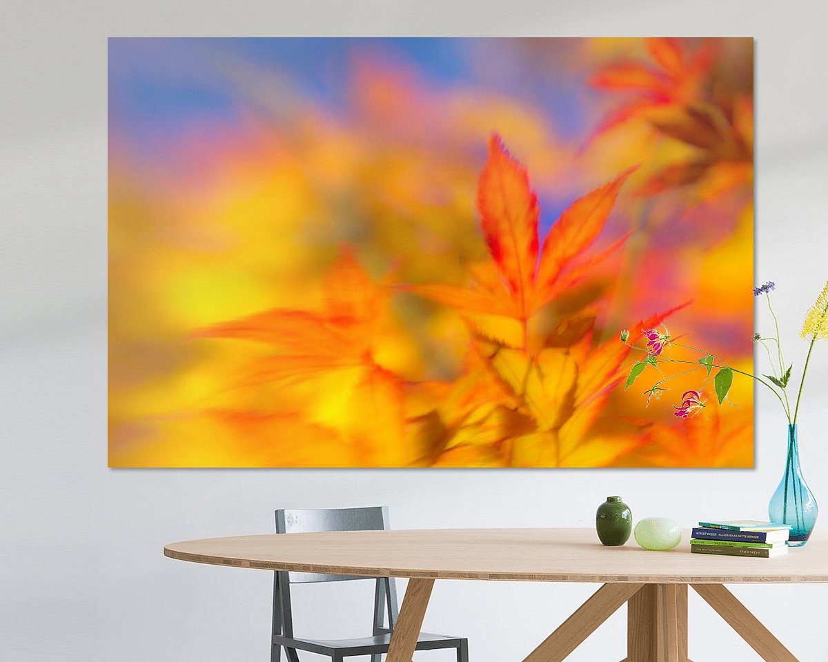 Raumvorschau