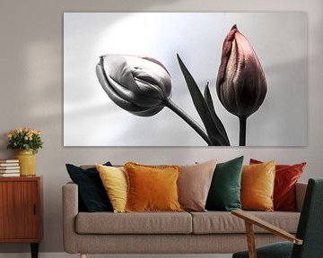 Two Tulip van Olis-Art