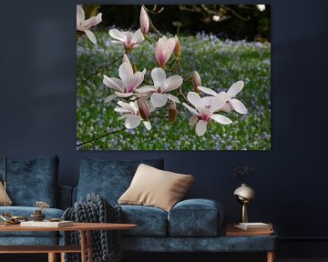 Bloeiende tulpenboom - Magnolia's bloeien in het voorjaar (Magnolia's) van RaSch-BS_Design