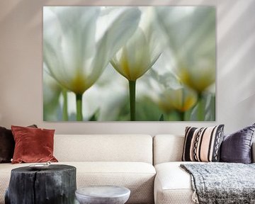 Weiße Tulpen von Carla Mesken-Dijkhoff