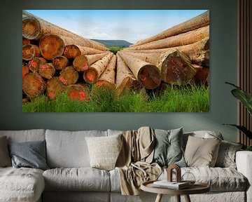 Holz aus dem Schwarzwald von Jose Lok