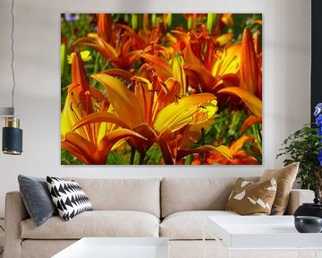 Oranje en gele lelies (iris) van RaSch-BS_Design