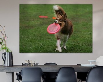 Hond met roze frisbee van Renate Peppenster