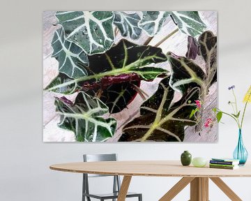 Kamerplant: Alocasia Zebrina | Olifantsoor 1-A van MoArt (Maurice Heuts)