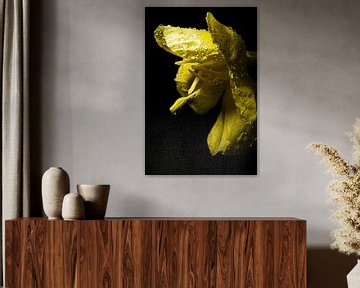 Yellow flower van Alexander van der Sar