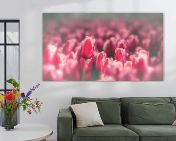 Bollenveld met roze tulpen van Fotografiecor .nl