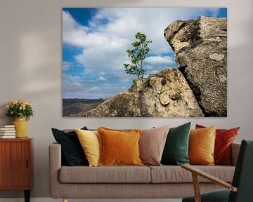 Landschaft mit Baum und Felsen im Harz von Rico Ködder