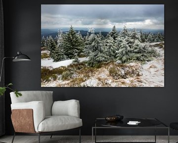 Landscape with snow and trees van Rico Ködder