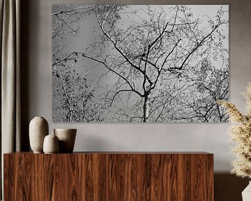 Schwarz-Weiß-Baum von Alexander van der Sar