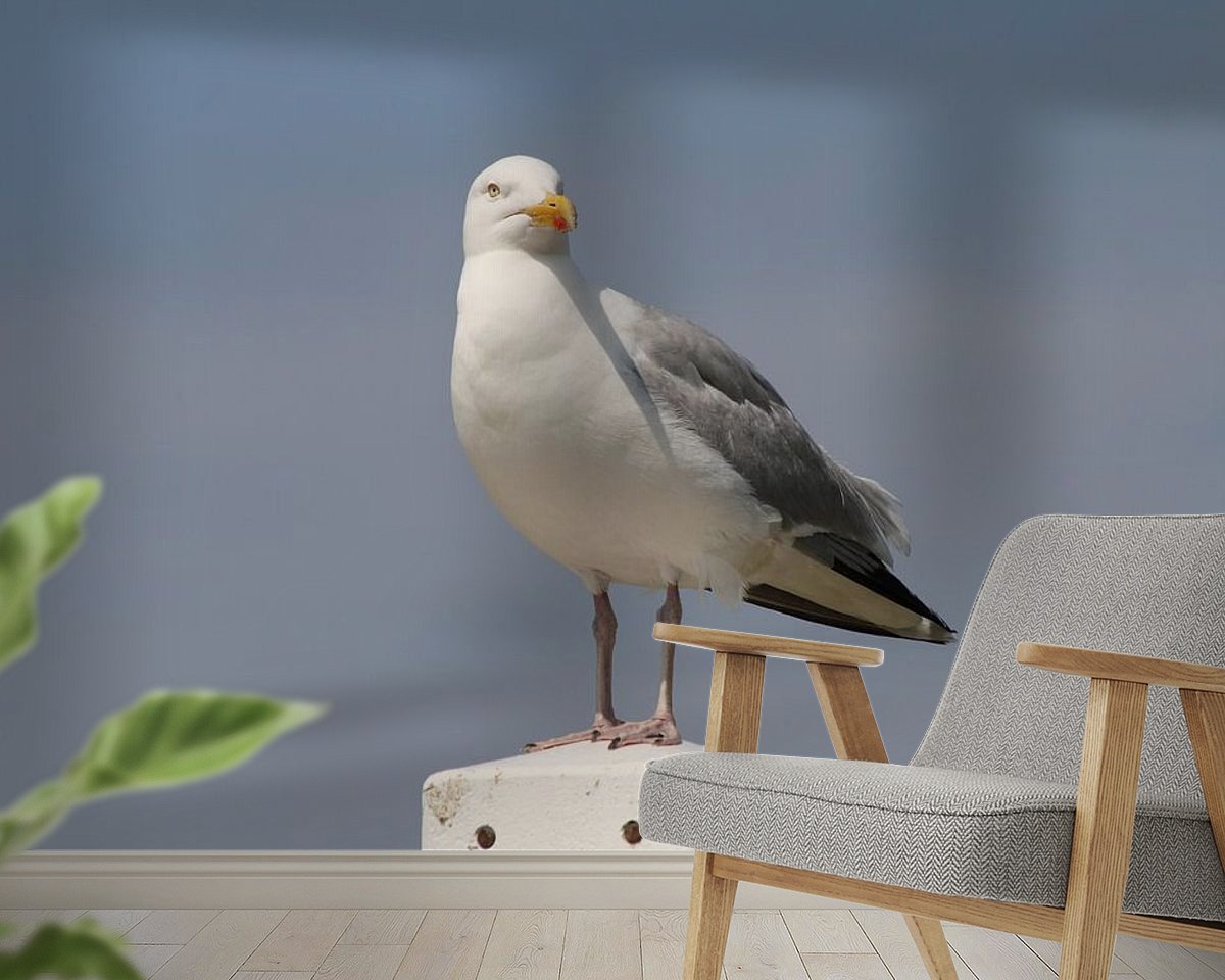 Raumvorschau