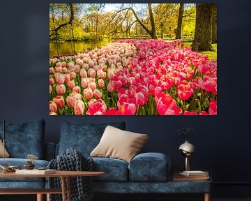 Een veld vol met tulpen van Stedom Fotografie