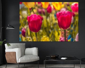 Een kleurvol veld tulpen van Stedom Fotografie