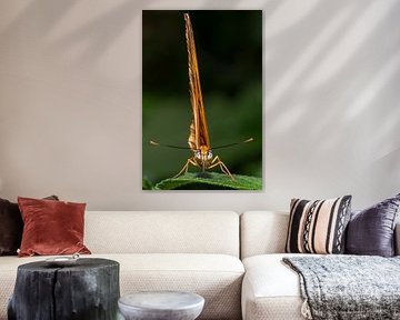 "Staring at you..." by Joost Keijzer