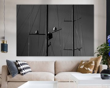 masten in zwartwit van Nathan Okkerse