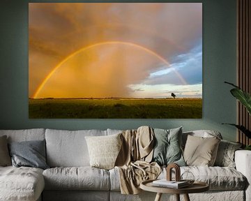 Regenboog in de lucht van Karla Leeftink