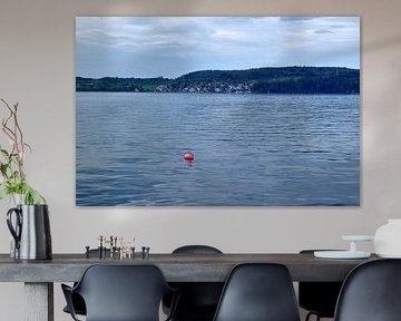 Bodensee5