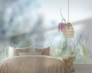 Wild Lapwing flower early in the morning by Frensis Kuijer