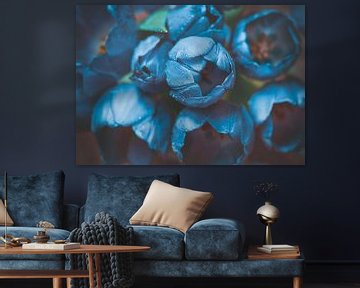 Blue Tulips van Steffen Gierok