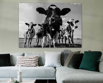 Koeien in de wei in de zomer in zwart wit van Sjoerd van der Wal