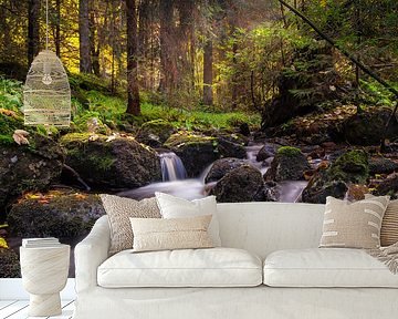 Herfst in het Harz gebergte van Steffen Gierok