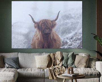 Scottish Highlander in frozen world by Karla Leeftink