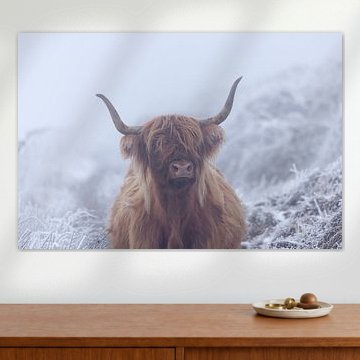 Schottischer Highlander in gefrorener Welt