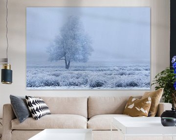 Frozen winter tree between blue and white sur Karla Leeftink