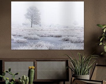 Wit winterland met boom in moeras van Karla Leeftink