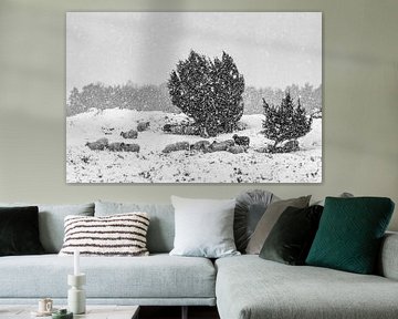 A flock of sheep in snowy weather