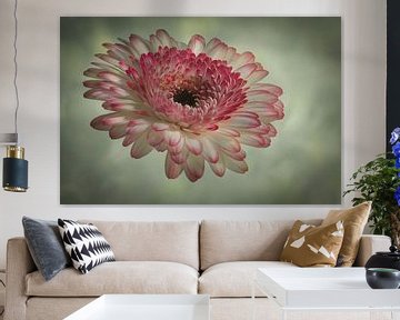 Gerbera kunst op canvas van eric van der eijk