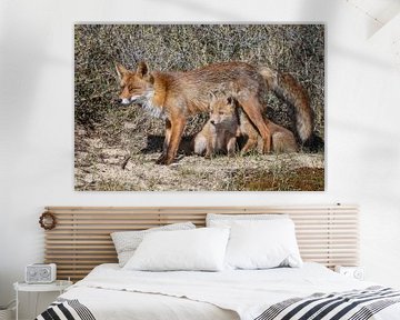 Red fox  von Menno Schaefer