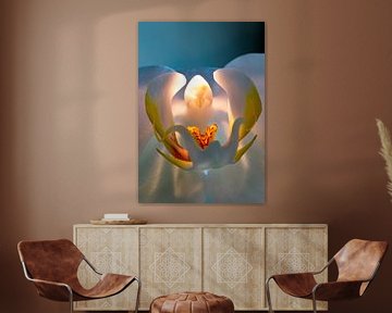 Orchid in bleulight #2 by Henry van Schijndel