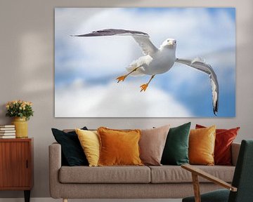 Seagull by Martijn van Dellen