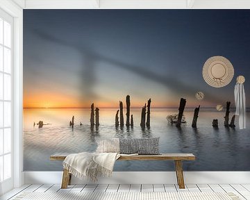 Poles Moddergat Friesland by Martijn van Dellen