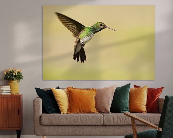 Aperçu de la chambre