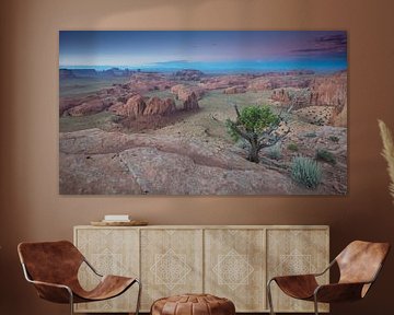 Monument Valley by Jeannette Mulder