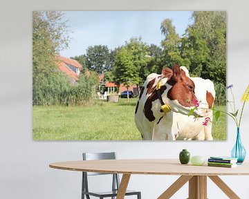 Bruin wit gevlekte koe in weiland van Erik Koks