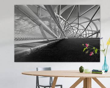 (fiets) brug 'Groene verbinding' zwart/wit perspectief van Manon Ruitenberg