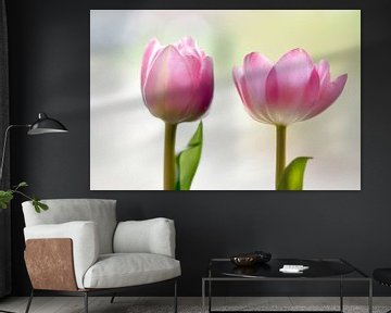 Pink tulips by Jeannette Penris