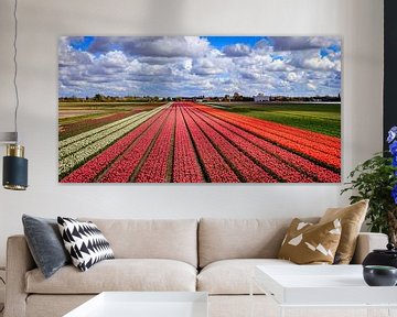 Bloemenvelden met Nederlandse Tulpen von Dutch Creator