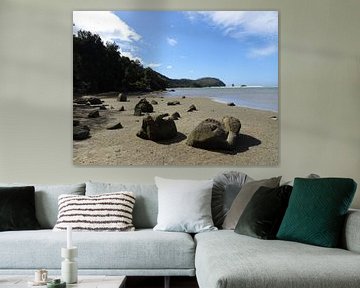Abel Tasman nationaal park in Nieuw Zeeland; Stenen strand van Anne Groenendaal