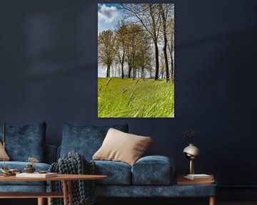 View along the Dutch dike by Fotografiecor .nl