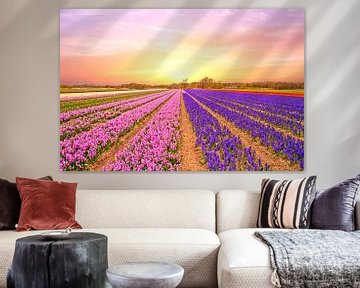 Tulip fields in the Netherlands in spring at sunset von Eye on You