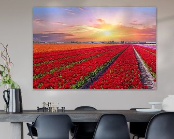Bloeiende tulpenvelden in een nederlands landschap met zonsondergang van Eye on You