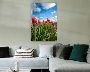 Champ de bulbes hollandais avec les Tulipes rouges sur Fotografiecor .nl