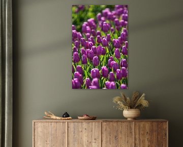 Violettes Zwiebelfeld mit blühenden Tulpen von Fotografiecor .nl