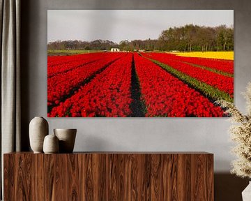 Tulpenvelden in Drenthe van Arline Photography