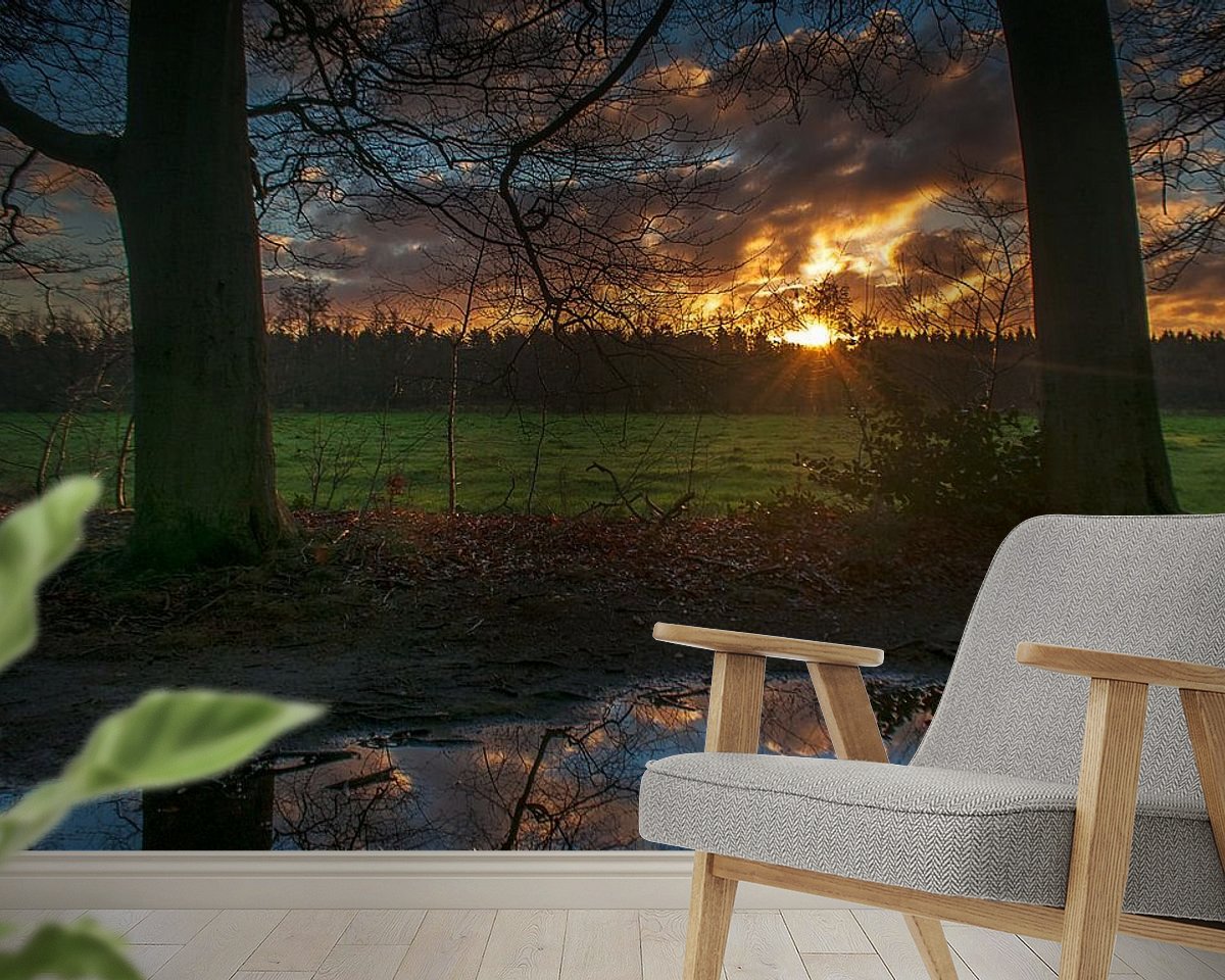Raumvorschau