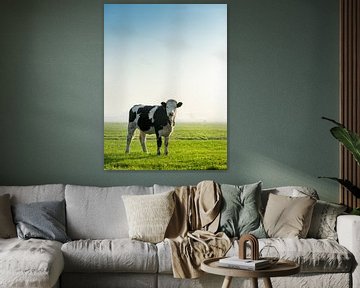 Koe in weiland van Ruurd Dankloff